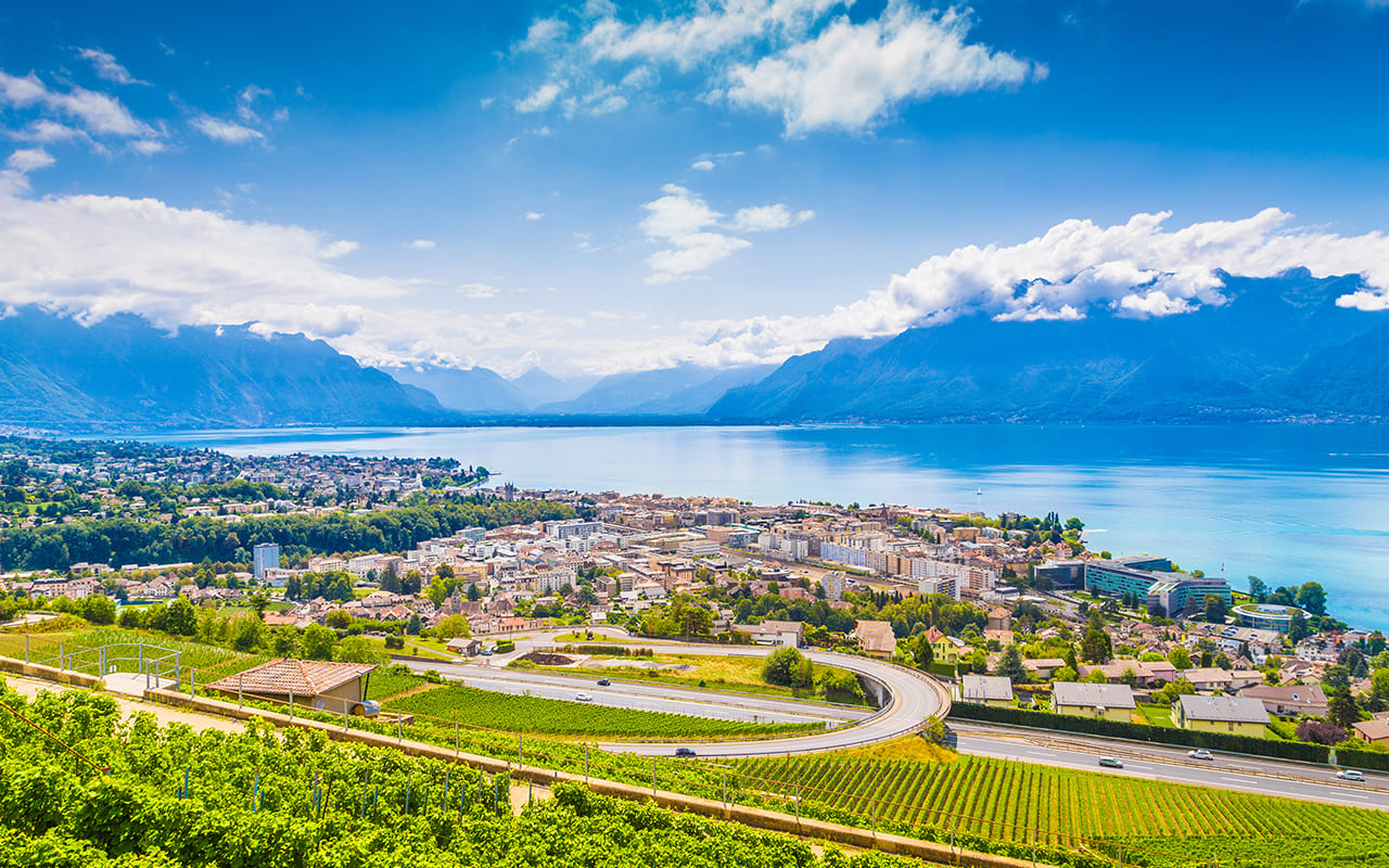 Cabinet-Veterinaire-Arche-en-Ville-a-Vevey-medicale-arche-en-ville-cabinet-veterinaire-vevey-urgences