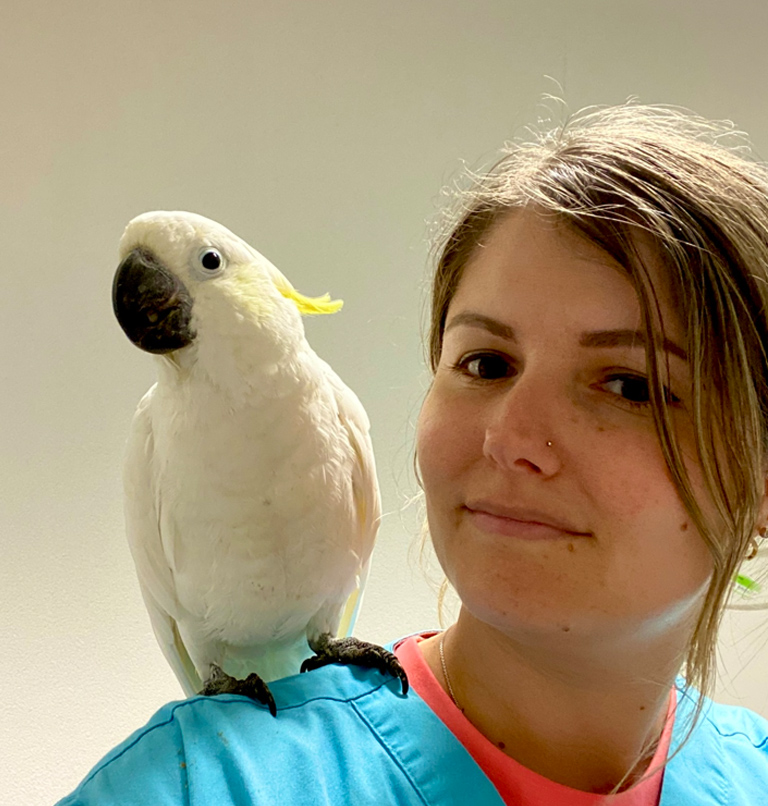 Cassandre-arche-en-ville-cabinet-veterinaire-vevey