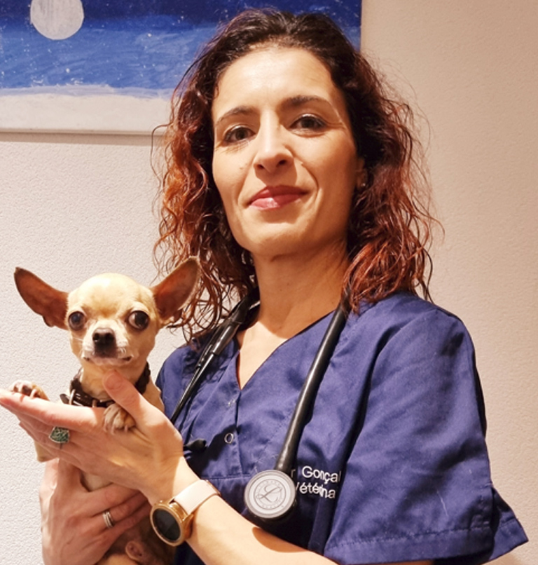 Dr-Sìlvia-Goncalves-arche-en-ville-cabinet-veterinaire-vevey