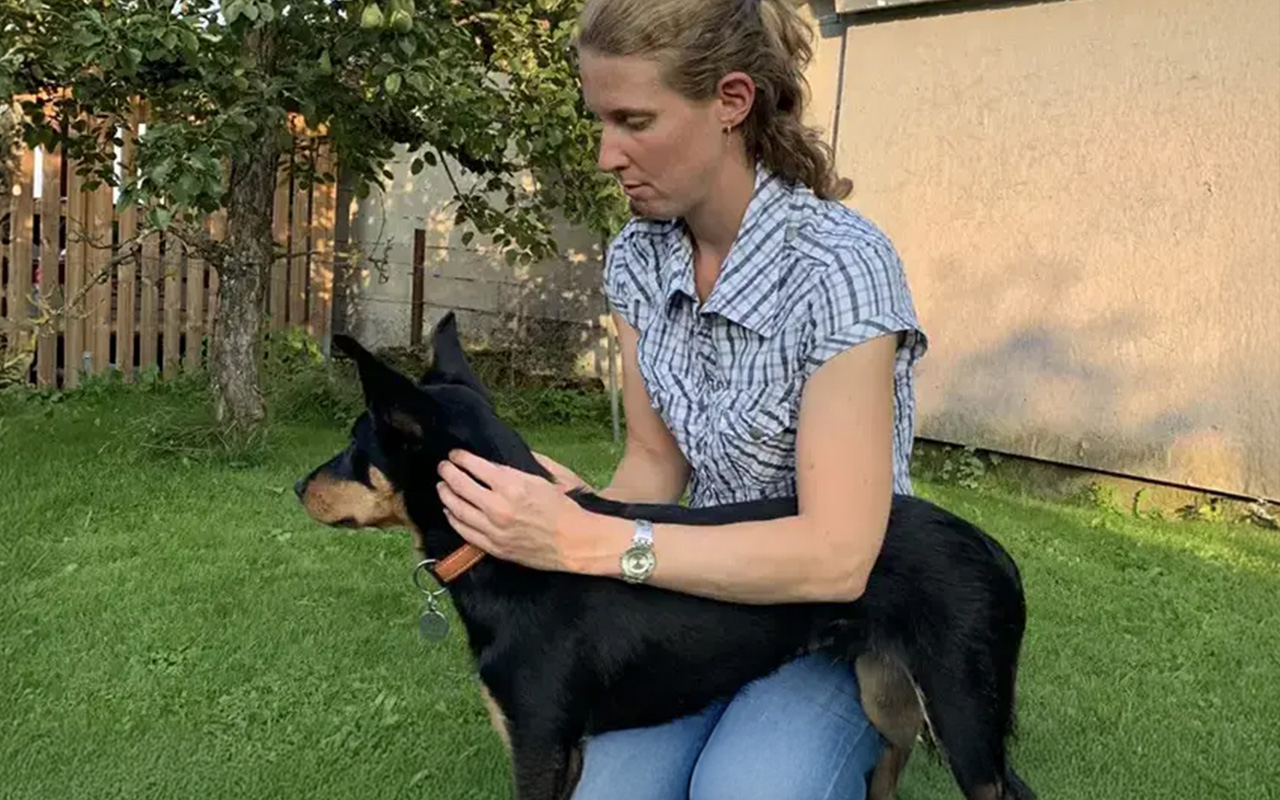 Gestion-de-la-douleur-veterinaire-arche-en-ville-cabinet-veterinaire-vevey-home