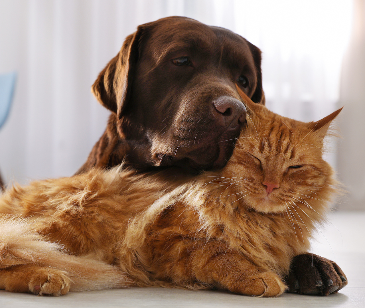 Nos-valeurs-arche-en-ville