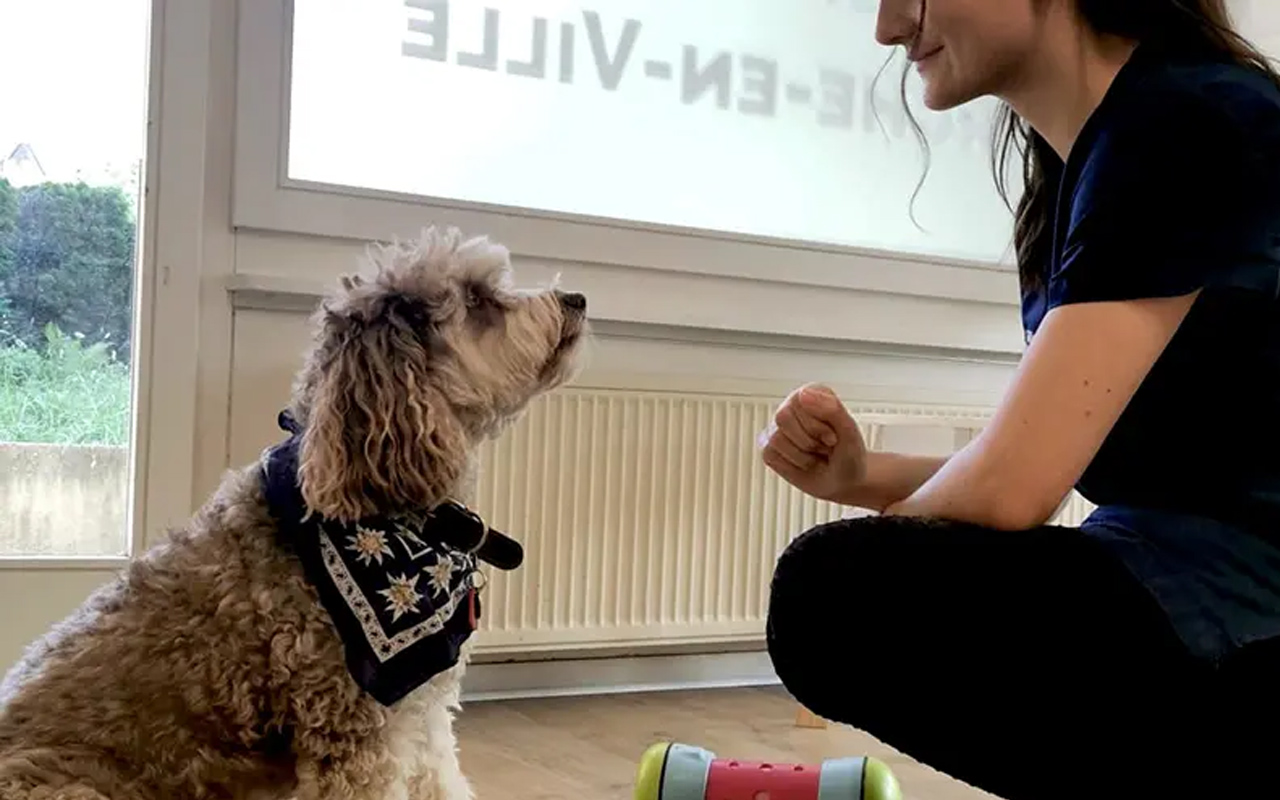 Therapie-personnalisee-veterinaire-arche-en-ville-cabinet-veterinaire-vevey-home