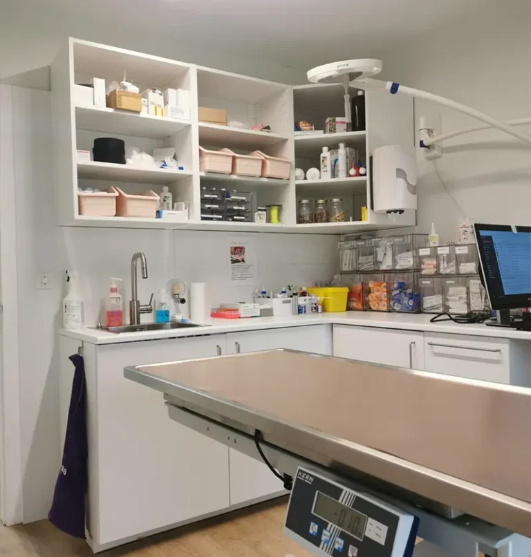 urgences-arche-en-ville-cabinet-veterinaire-vevey-urgences-section1-768x806