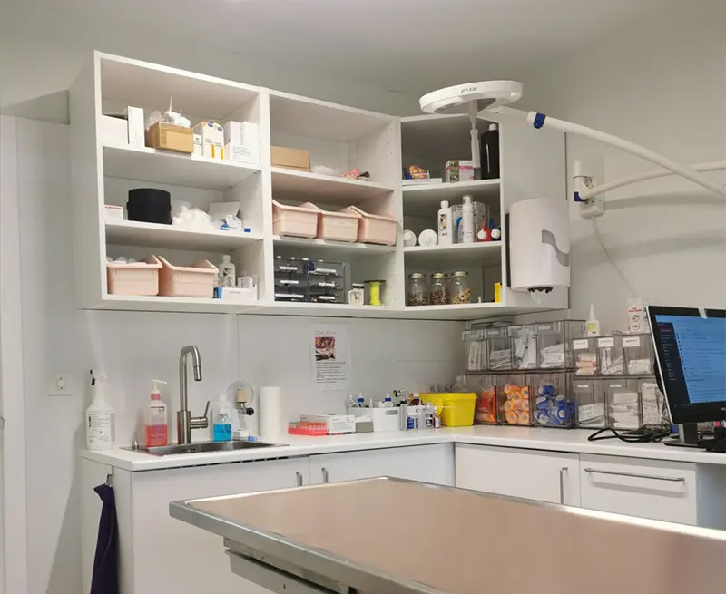 urgences-arche-en-ville-cabinet-veterinaire-vevey-urgences