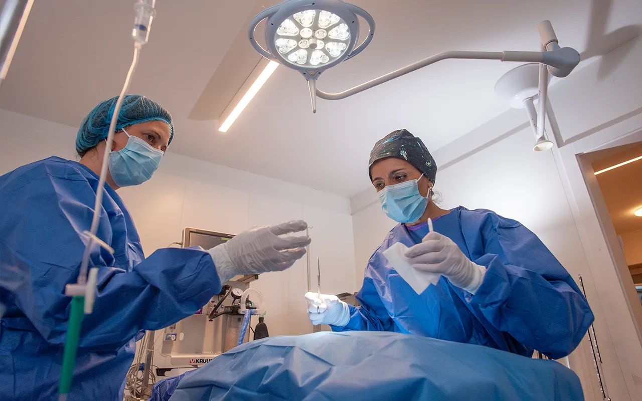 Chirurgie-des-tissus-mous-specialisees-arche-en-ville