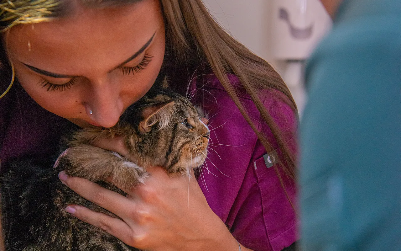 Gestion-de-la-douleur-veterinaire-arche-en-ville-cabinet-veterinaire-vevey-home