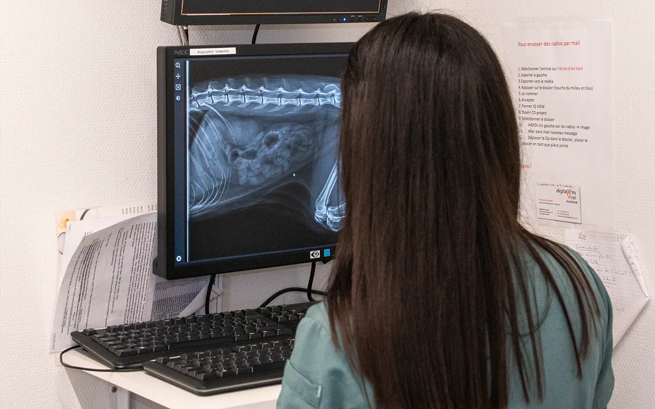 Radiographie-veterinaire-numerique-arche-en-ville-cabinet-veterinaire-vevey