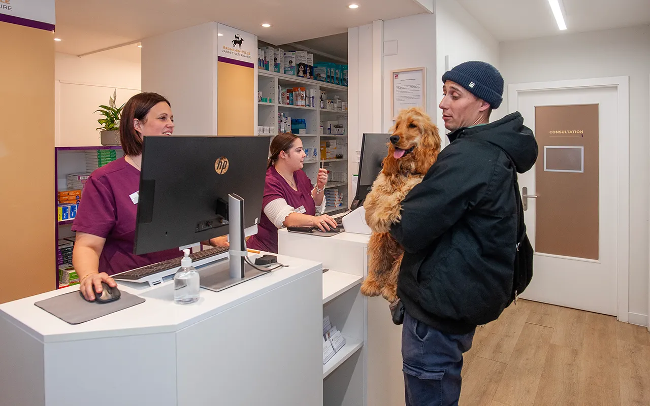 Soins-et-conseils-veterinaires-AMV-arche-en-ville-cabinet-veterinaire-vevey-home