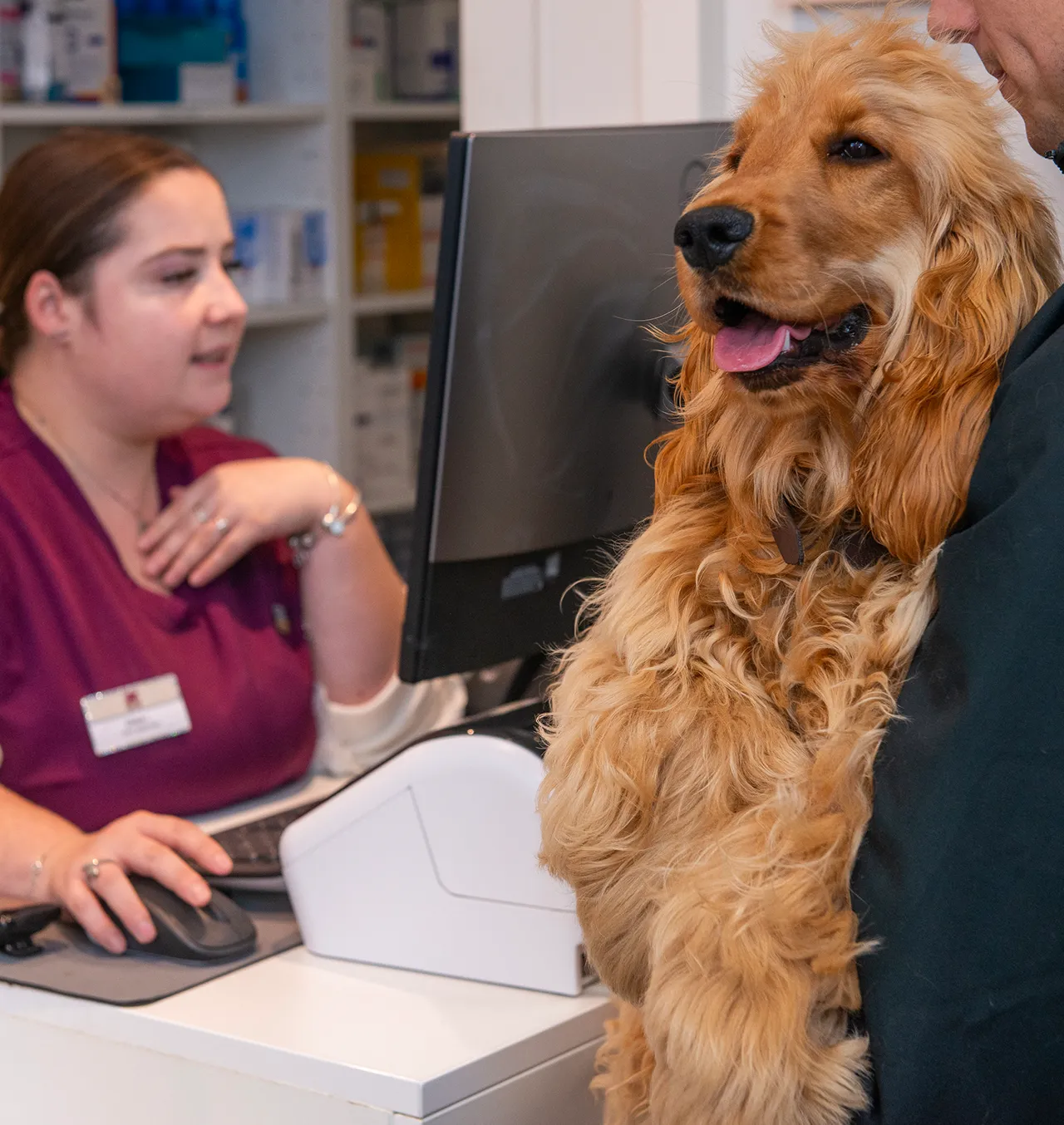 Une-localisation-ideale-pour-vos-visites-veterinaire-moderne-et-accessible-a-Vevey-arche-en-ville