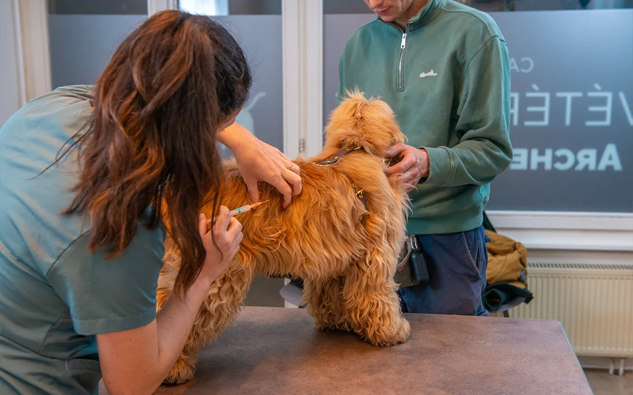 Vaccinations-arche-en-ville-cabinet-veterinaire-vevey-home