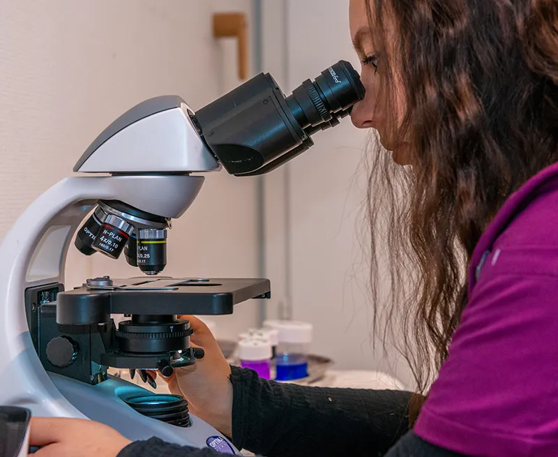 laboratoire-medicale-arche-en-ville-cabinet-veterinaire-vevey-urgences