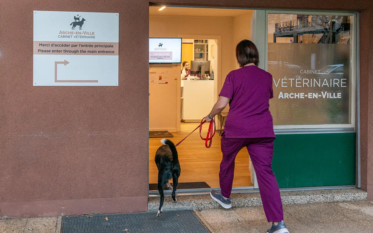 urgences-veterinaires-arche-en-ville